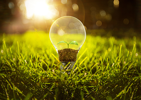 首頁(yè)公司簡(jiǎn)介圖